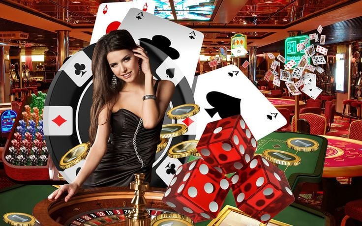tk vip bet লাইভ বেটিং ইন্টারফেস স্ক্রিনশট